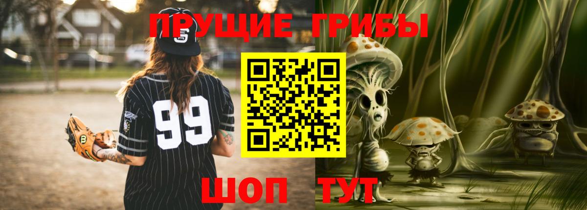Петропавловск-Камчатский  Галлюциногенные грибы Cubensis  Вход с VPN 